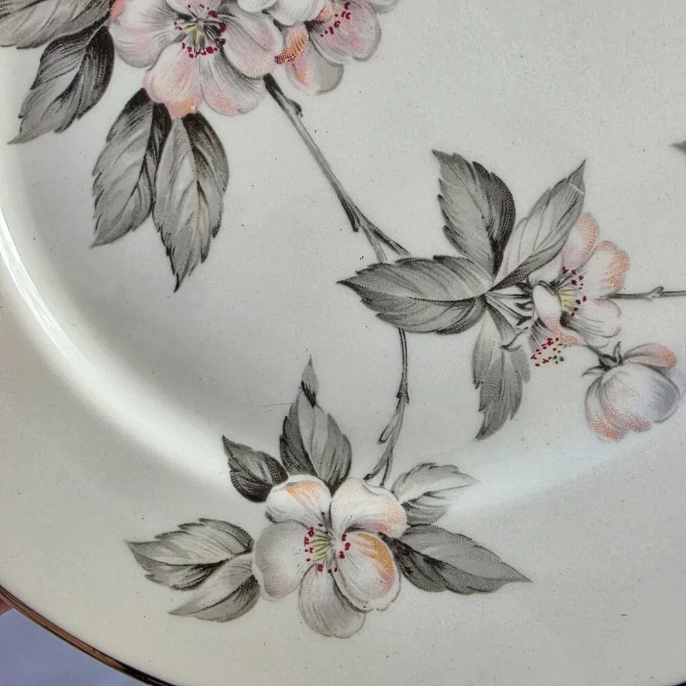 TWO Manor House Spring Glory Salad Plates Pink & White Floral Gray Leaves